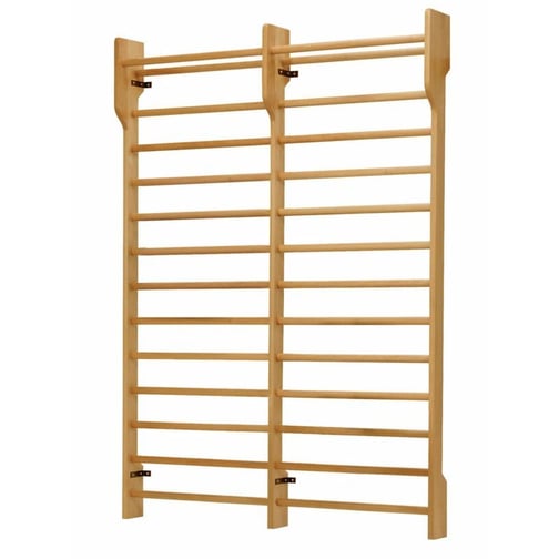 Ferrox® Doppelfeld-Sprossenwand, 250 x 180 cm