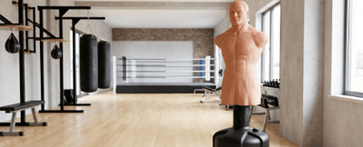 Boxdummies