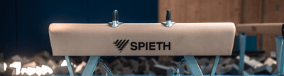 Spieth Wettkampf-Pauschenpferd