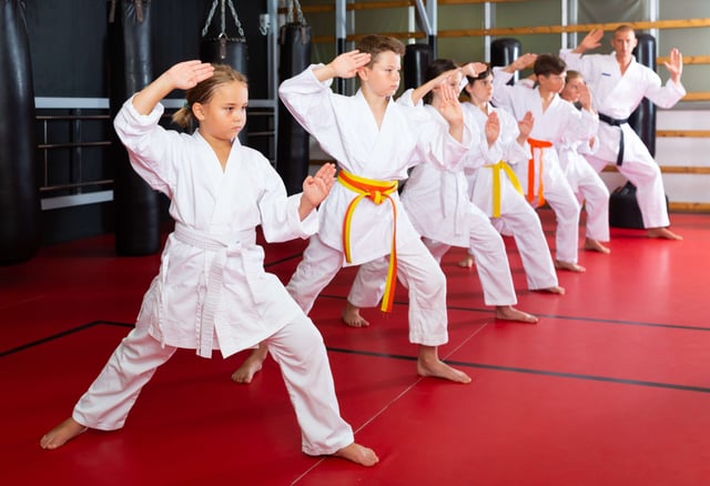 Karate-G&uuml;rtel-Reihenfolge: Farben und ihre Bedeutung erkl&auml;rt | K&uuml;bler Sport