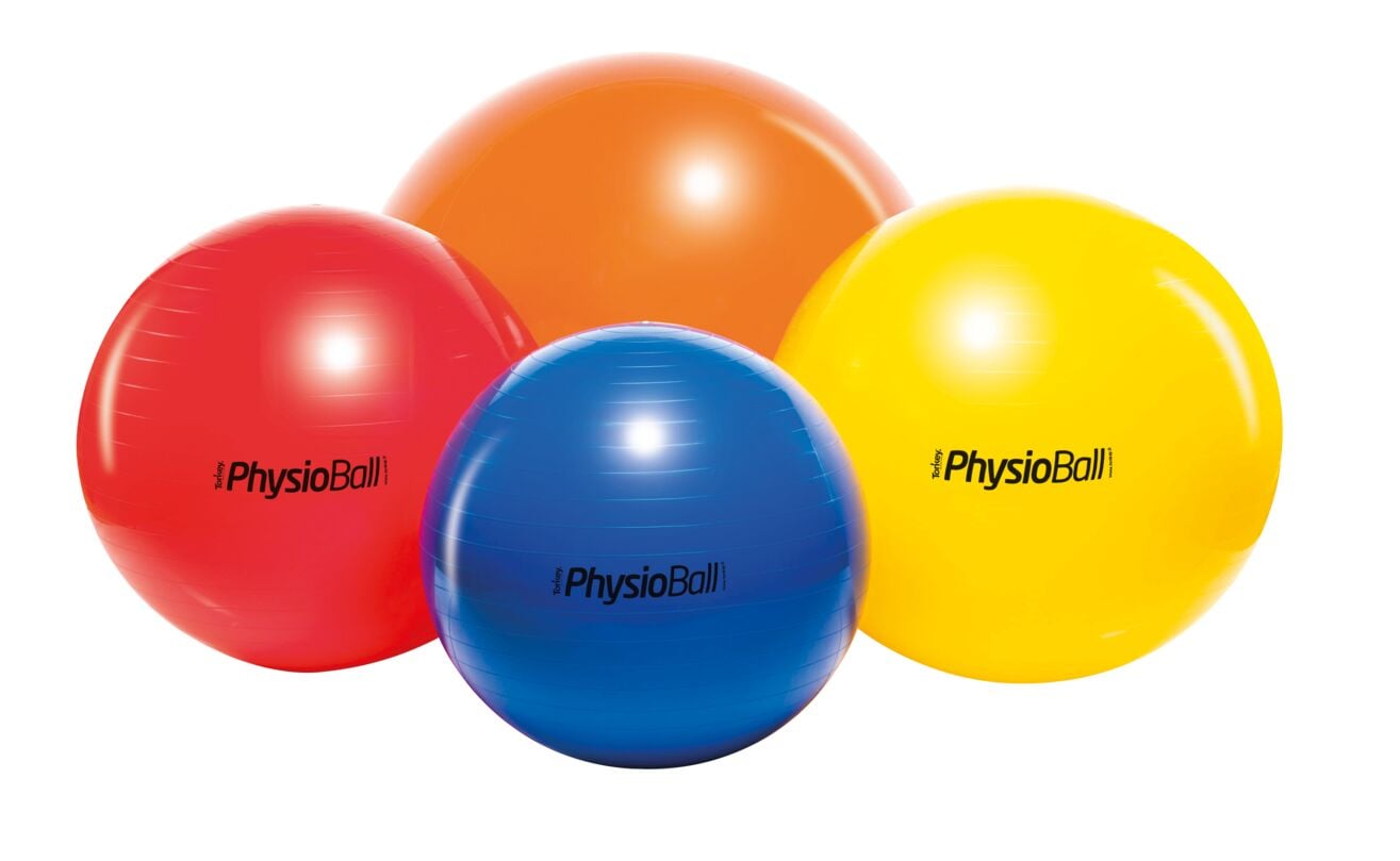 Original PEZZI PhysioBall, 95 cm