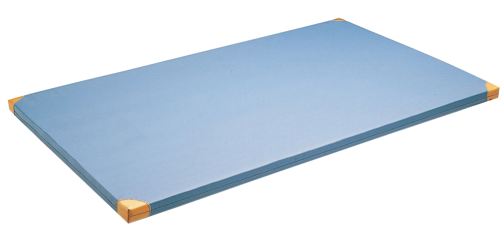 Kübler Sport Qualitäts-Turnmatte, 150 x 100 x 6 cm, Mit Lederecken