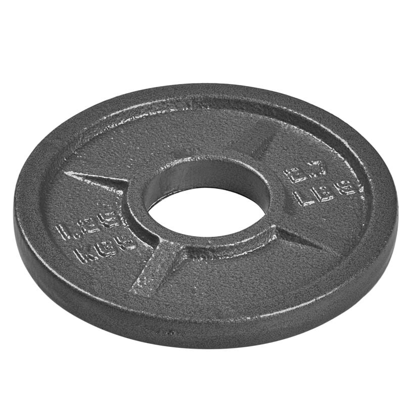 tanga sports Hantelscheibe Guss, 1,25 kg