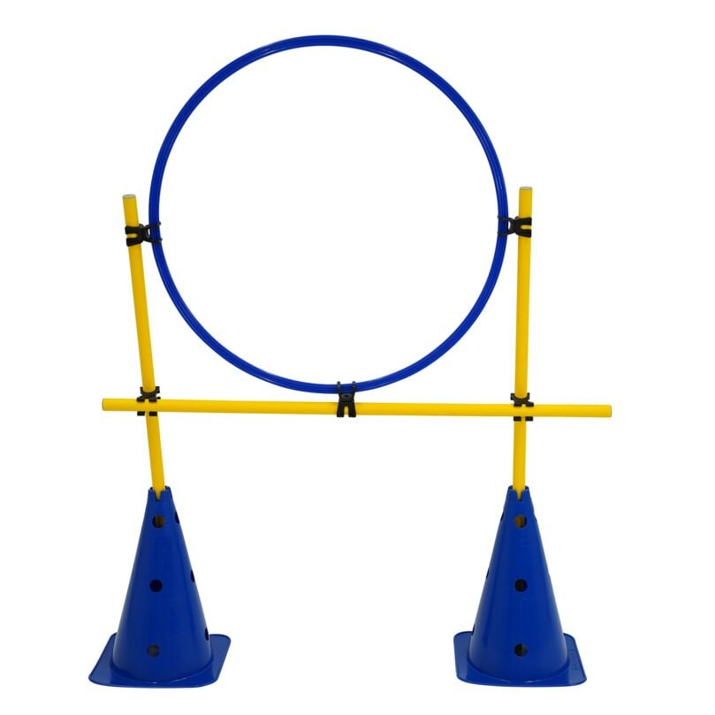 Kübler Sport Trainingshürde ZIEL, Blau / Gelb