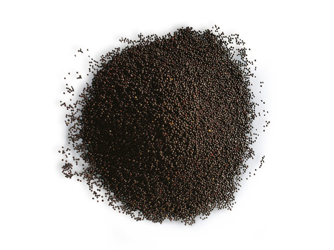 Wenea Raps, 4 kg