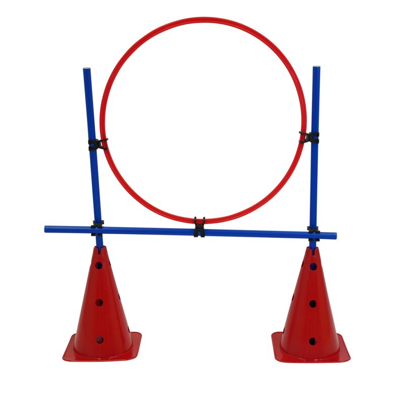 Kübler Sport Trainingshürde ZIEL, Rot / Blau