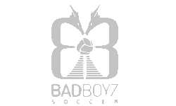 Bad Boyz Bad Boyz