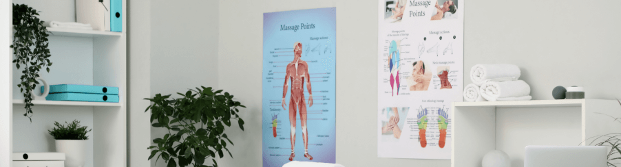 Großformatiges Anatomie Poster mit anschaulicher Darstellung menschlicher Knochen und Muskeln für den Einsatz im Therapiebedarf
