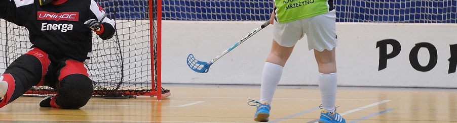 Professionelle Floorball Bande für Teamsport als Spielfeldbegrenzung in der Halle