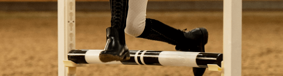 Hobby Horse Zubehör – Praktisches und kreatives Equipment für Ihr Steckenpferd