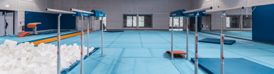 Hochwertige Barren für das Geräteturnen in Schulen, Vereine und bei Wettkämpfen