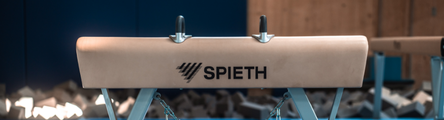 Spieth Wettkampf-Pauschenpferd